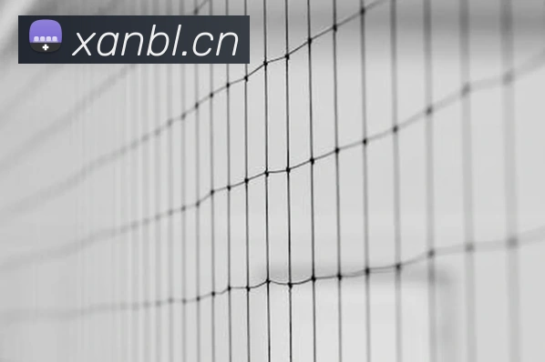 多多国际app下载官网APP 封面图